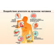 Негативна дія алкоголю на організм